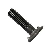 Болт норийный 10х40 Dшл-30мм